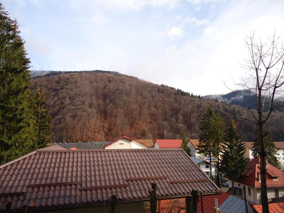 Casa Serban Villa Sinaia Exterior foto