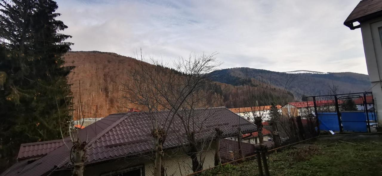 Casa Serban Villa Sinaia Exterior foto